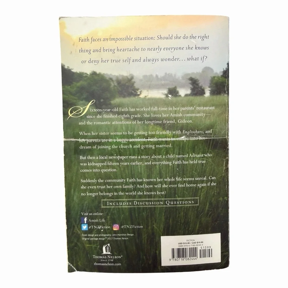 Abiding Mercy (An Amish Mercies Novel) - Paperback By Reid, Ruth